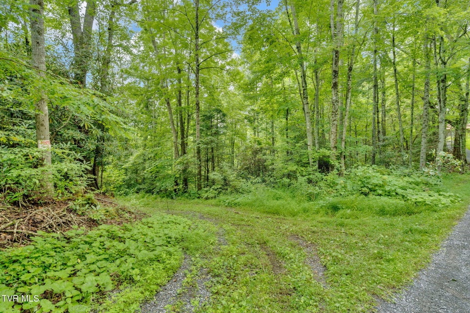 Photo #7: 162 Murph Potter Lane