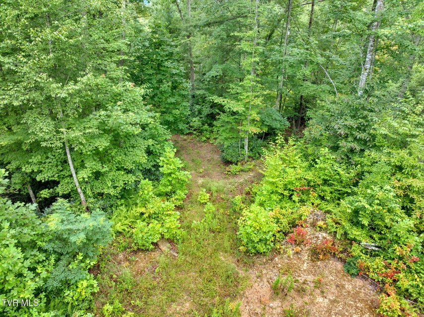 Photo #9: 162 Murph Potter Lane