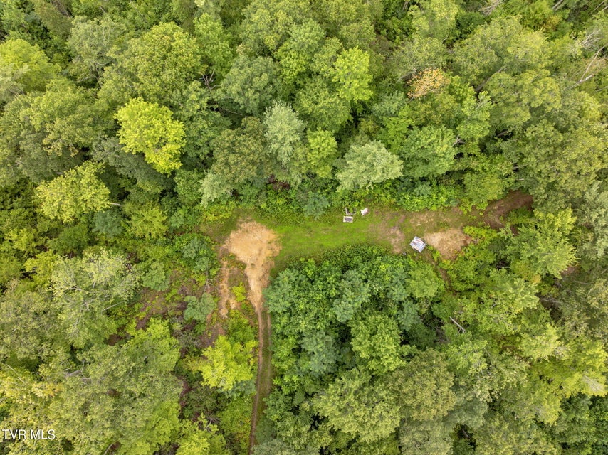 Photo #10: 162 Murph Potter Lane