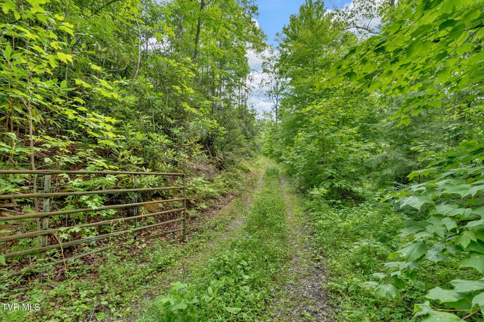 Photo #4: 162 Murph Potter Lane