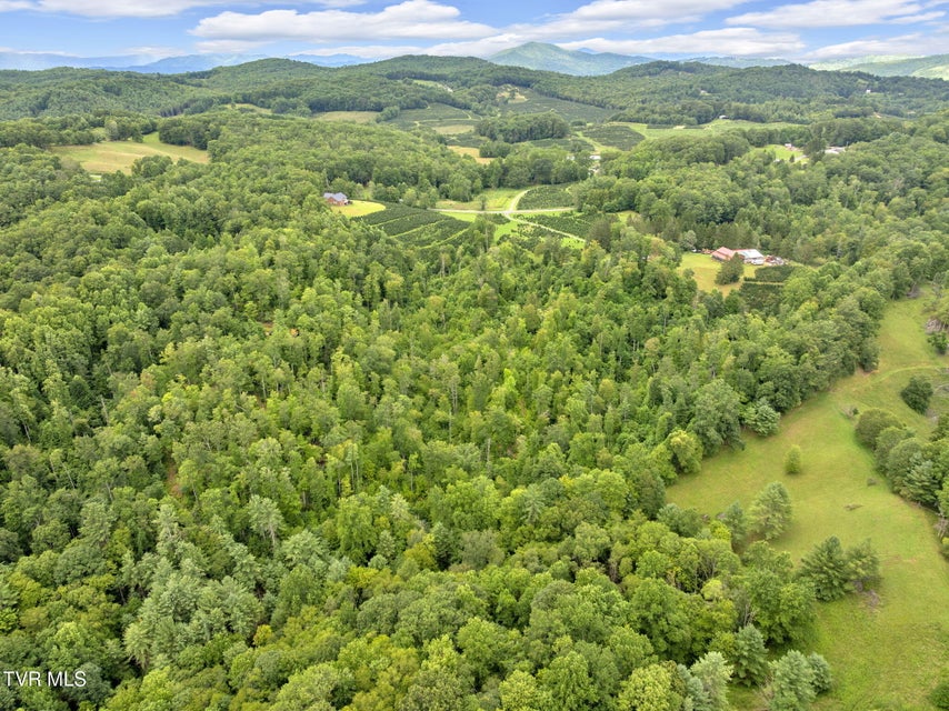 Photo #11: 162 Murph Potter Lane