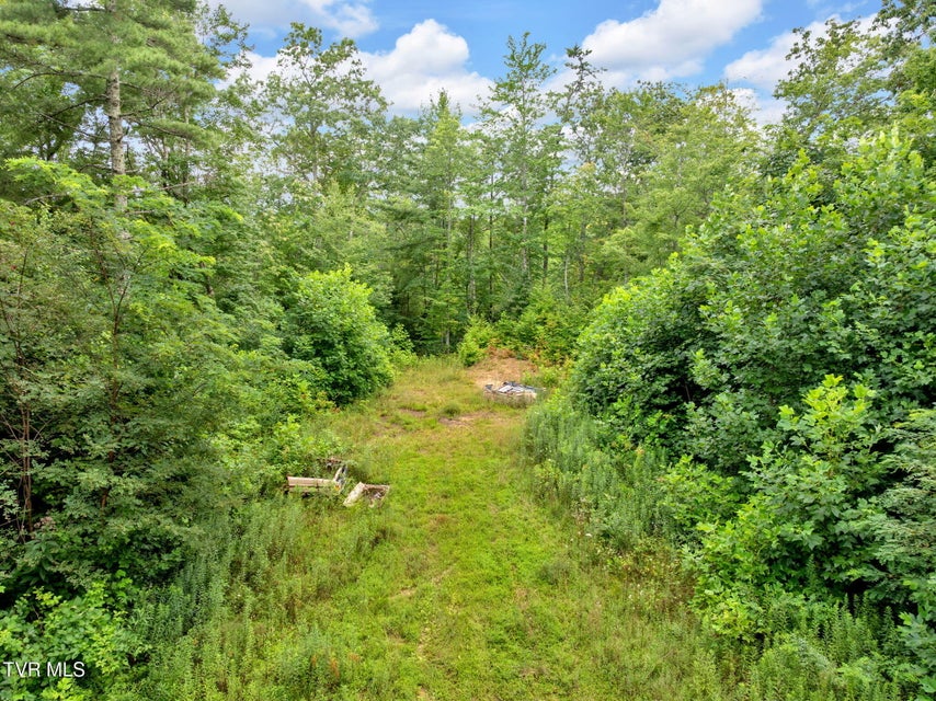 Photo #2: 162 Murph Potter Lane