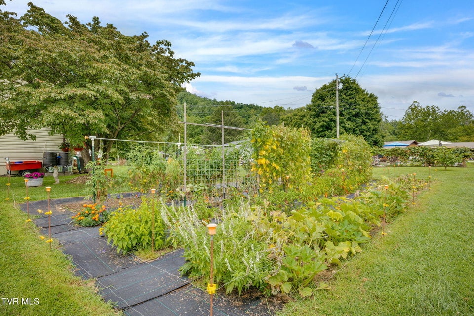 Photo #45: 205 Willow Street