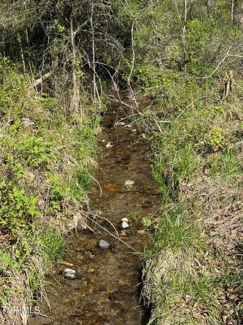 Photo #9: 5709 Joe Alder (43 Acres) Road