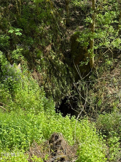Photo #24: 5709 Joe Alder (43 Acres) Road