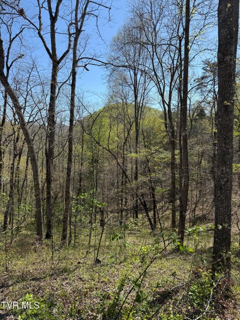 Photo #27: 5709 Joe Alder (43 Acres) Road