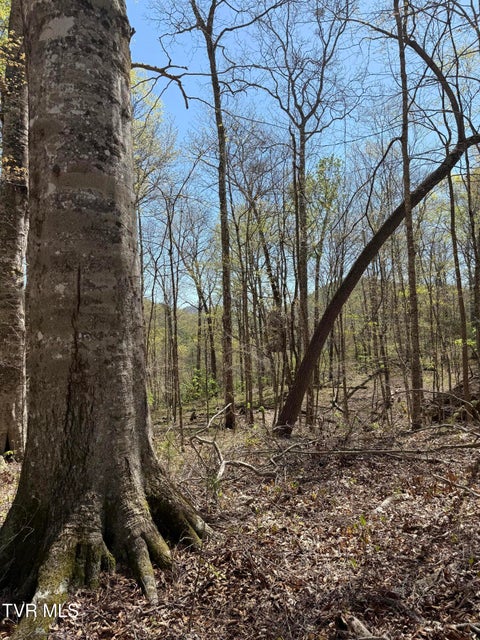 Photo #28: 5709 Joe Alder (43 Acres) Road