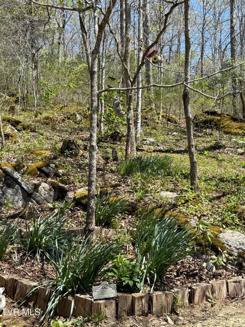 Photo #44: 5709 Joe Alder (43 Acres) Road
