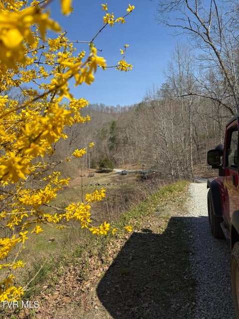 Photo #37: 5709 Joe Alder (43 Acres) Road