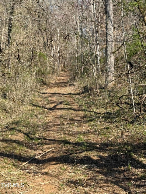 Photo #8: 5709 Joe Alder (43 Acres) Road