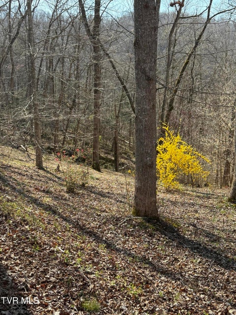 Photo #39: 5709 Joe Alder (43 Acres) Road