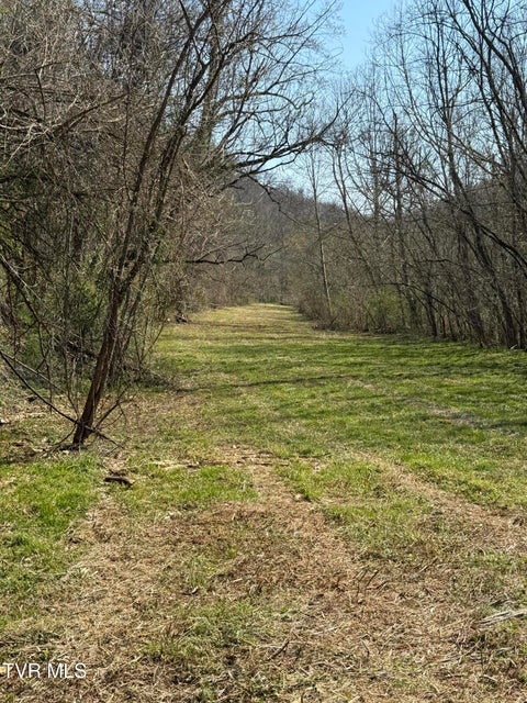 Photo #40: 5709 Joe Alder (43 Acres) Road