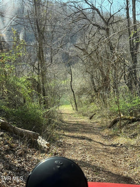 Photo #6: 5709 Joe Alder (43 Acres) Road