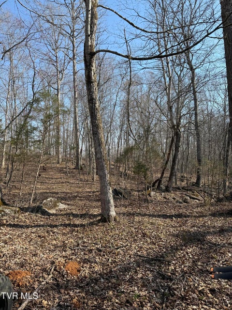 Photo #43: 5709 Joe Alder (43 Acres) Road