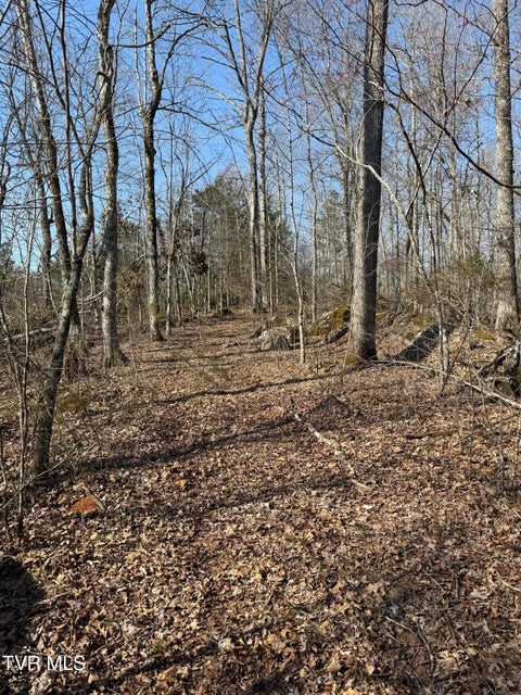 Photo #45: 5709 Joe Alder (43 Acres) Road