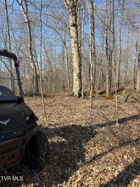 Photo #46: 5709 Joe Alder (43 Acres) Road