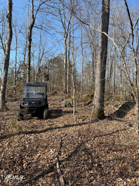 Photo #47: 5709 Joe Alder (43 Acres) Road