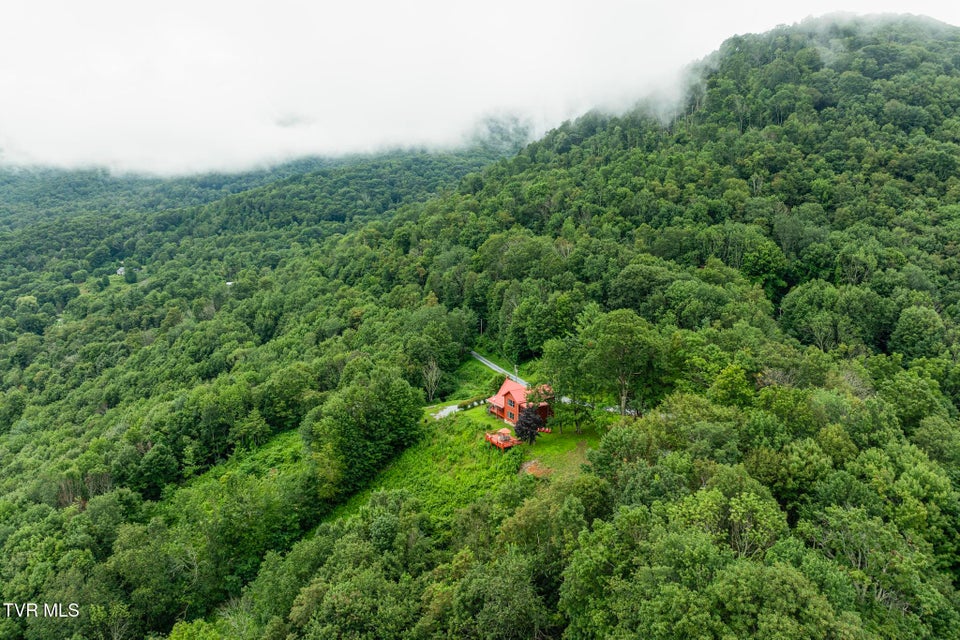 Photo #49: 264 Roanwood Road