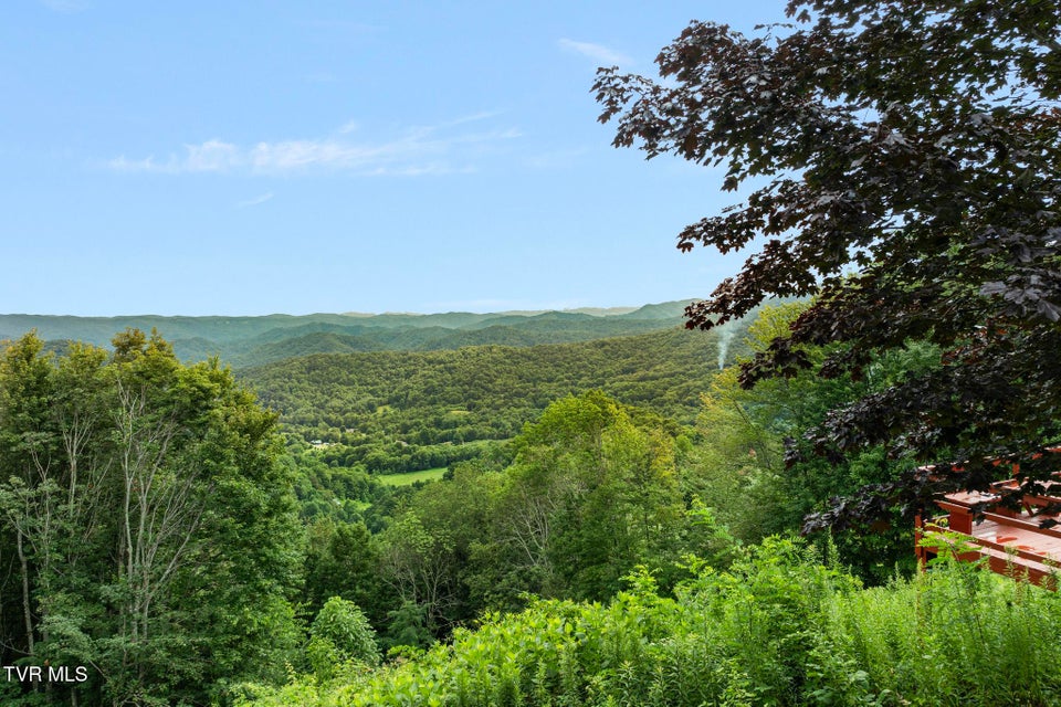 Photo #4: 264 Roanwood Road