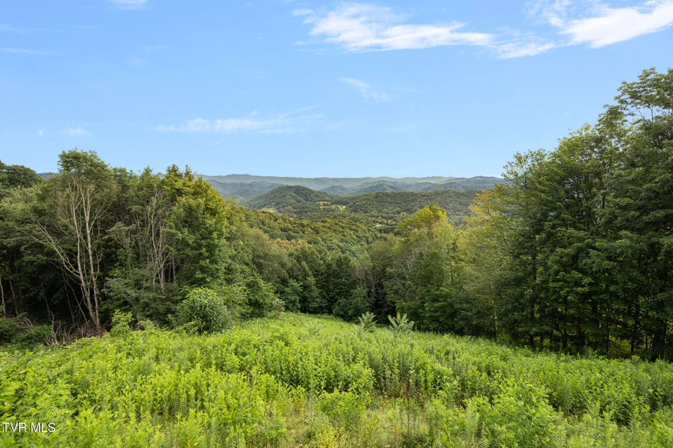 Photo #41: 264 Roanwood Road