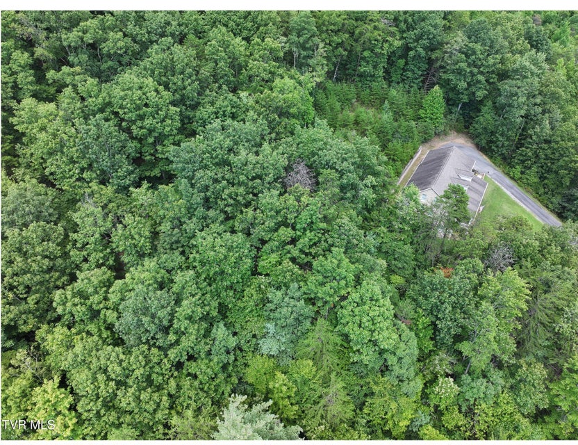 Photo #6: Tbd Willshire Drive