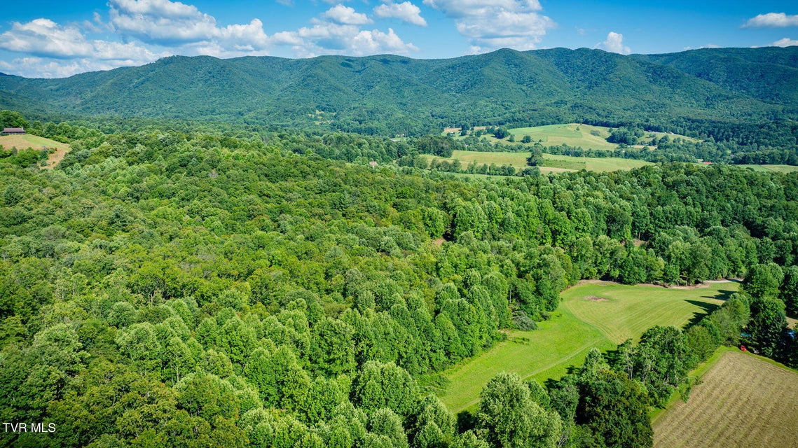 Photo #20: 284 Bulldog Hollow Hollow
