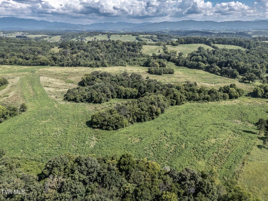 Photo #13: 1410 Timber Ridge Road