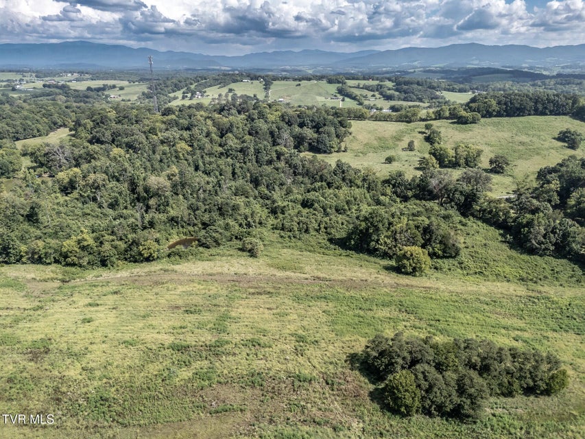 Photo #15: 1410 Timber Ridge Road