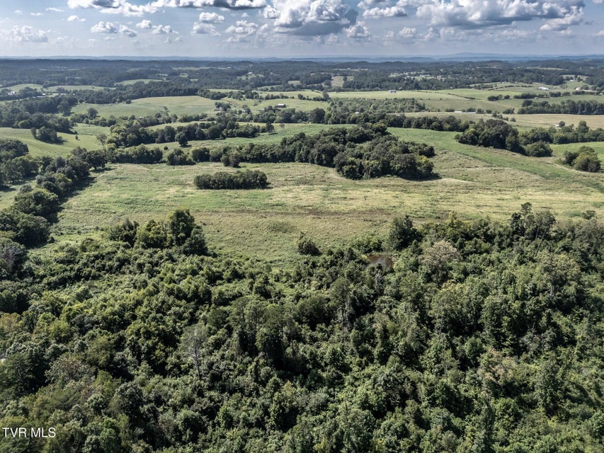 Photo #17: 1410 Timber Ridge Road