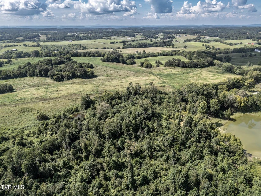 Photo #18: 1410 Timber Ridge Road