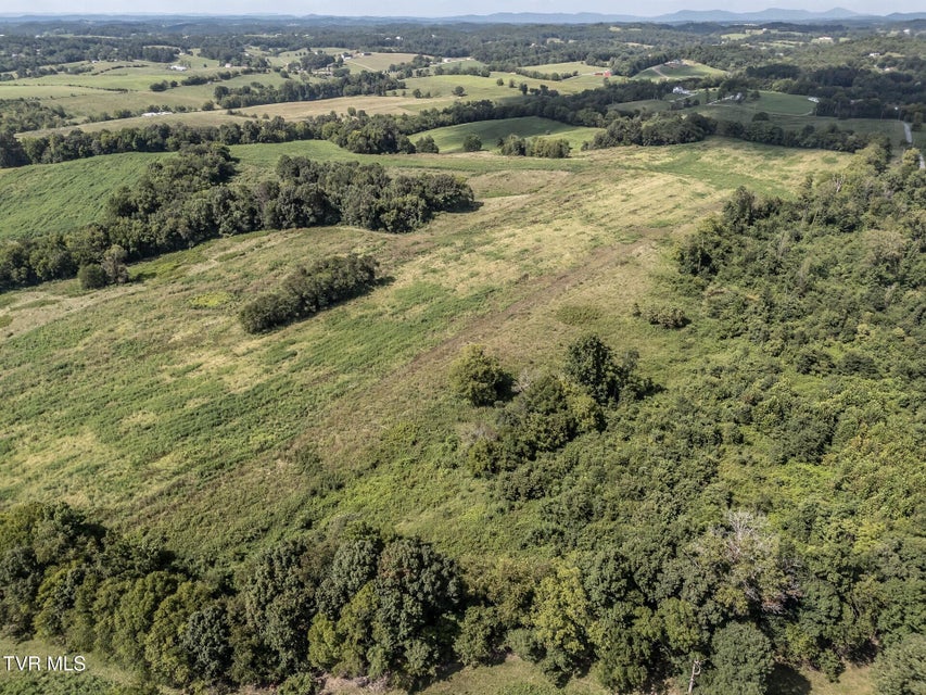 Photo #19: 1410 Timber Ridge Road