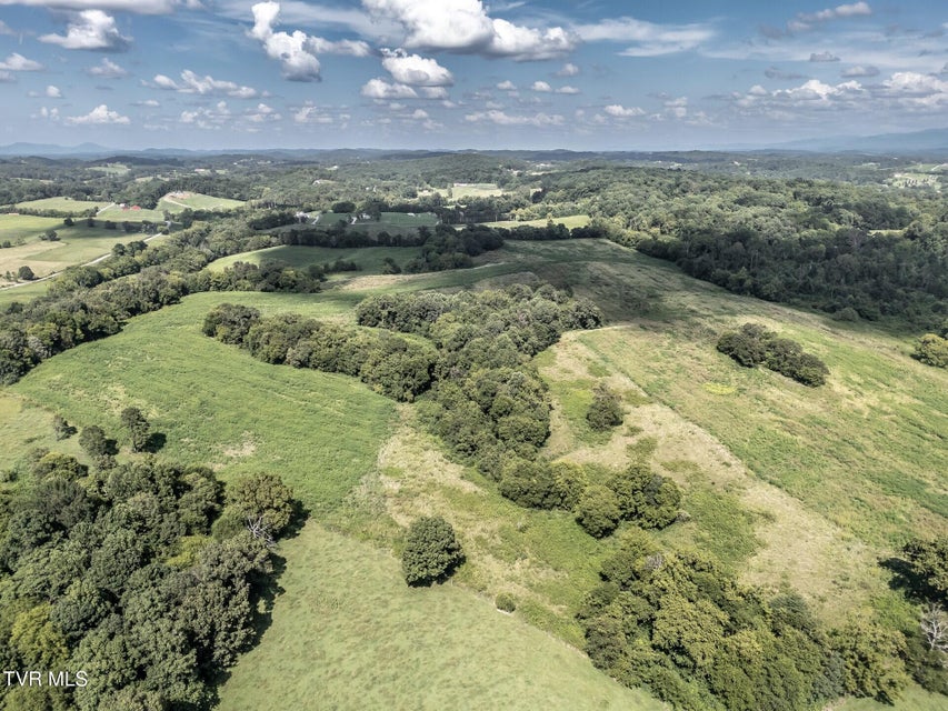 Photo #21: 1410 Timber Ridge Road