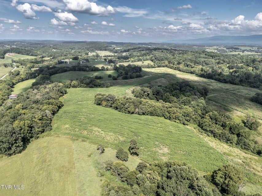 Photo #23: 1410 Timber Ridge Road