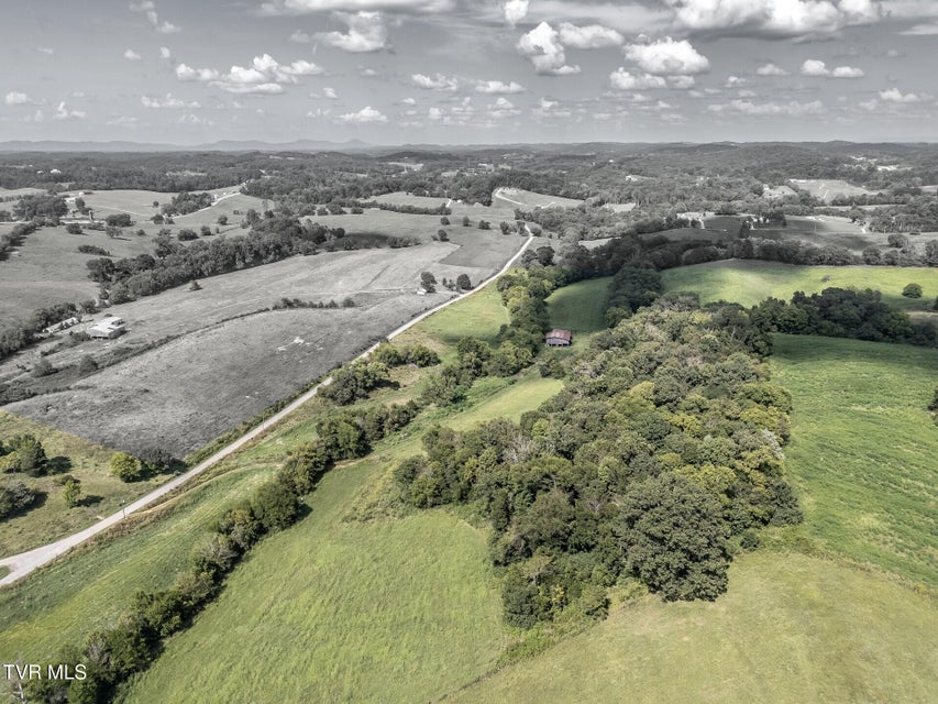 Photo #24: 1410 Timber Ridge Road