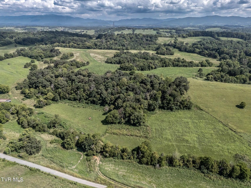 Photo #29: 1410 Timber Ridge Road