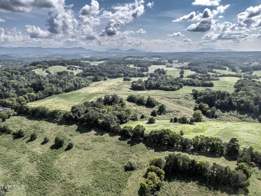 Photo #33: 1410 Timber Ridge Road