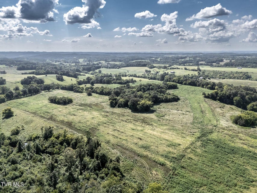 Photo #35: 1410 Timber Ridge Road