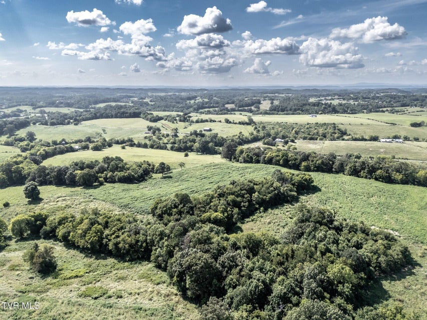 Photo #36: 1410 Timber Ridge Road