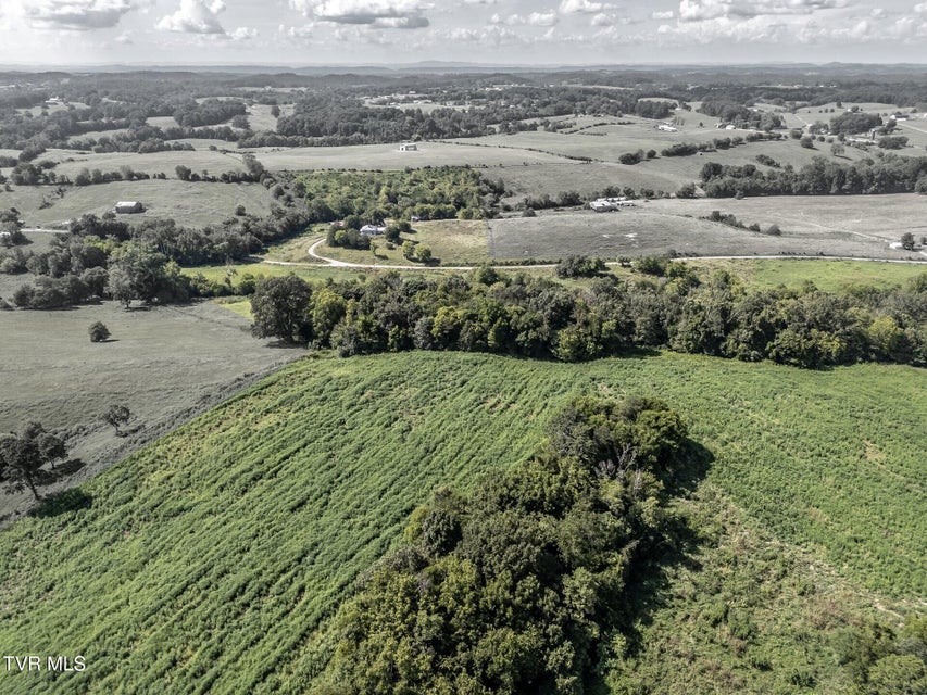 Photo #37: 1410 Timber Ridge Road