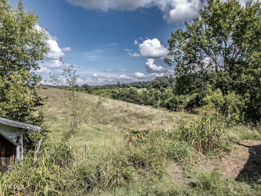 Photo #46: 1410 Timber Ridge Road