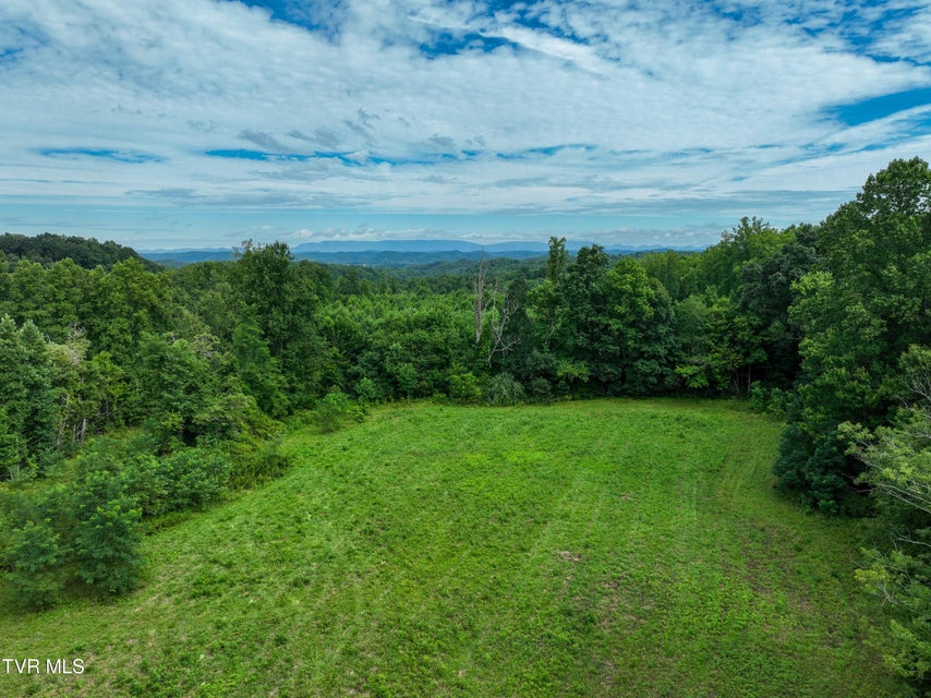 Photo #20: 501 Denton Valley Road