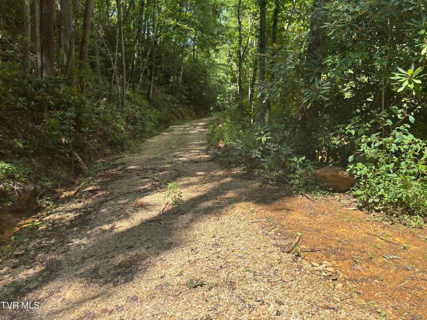 Photo #6: 100 Gate Hollow Road