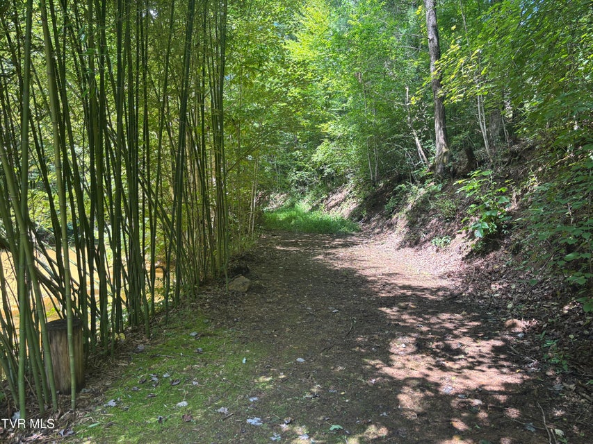 Photo #8: 100 Gate Hollow Road