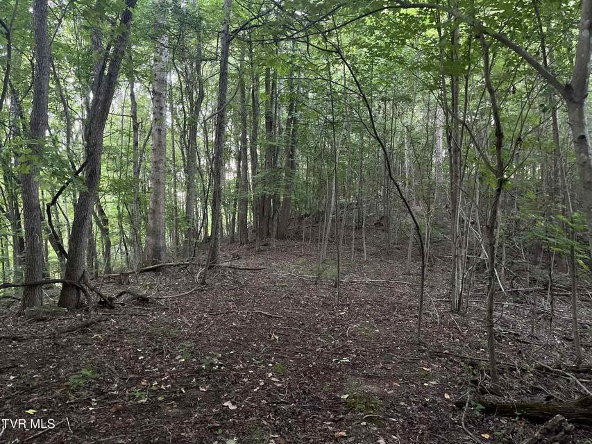 Photo #11: 8355 Wagner Road