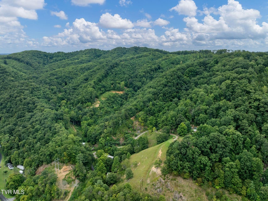 Photo #2: Tbd Ash Hopper Hollow