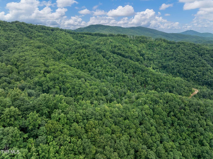 Photo #3: Tbd Ash Hopper Hollow