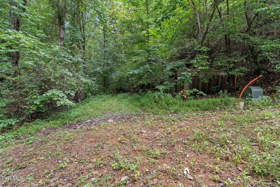 Photo #7: Tbd Ash Hopper Hollow