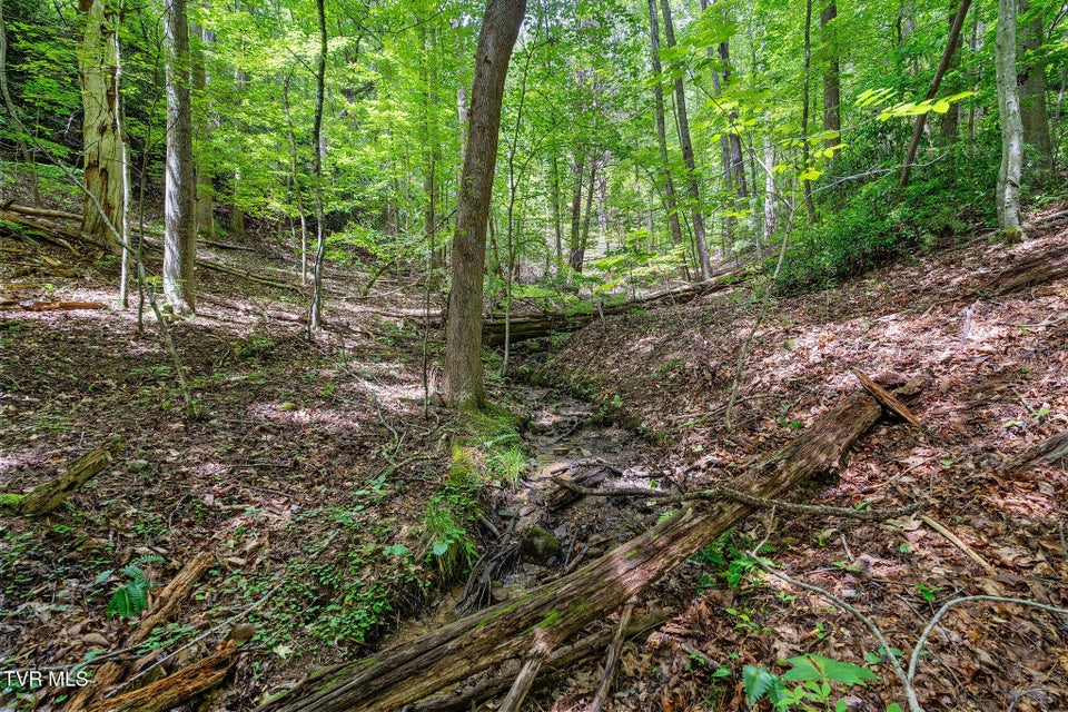 Photo #19: Tbd Ash Hopper Hollow