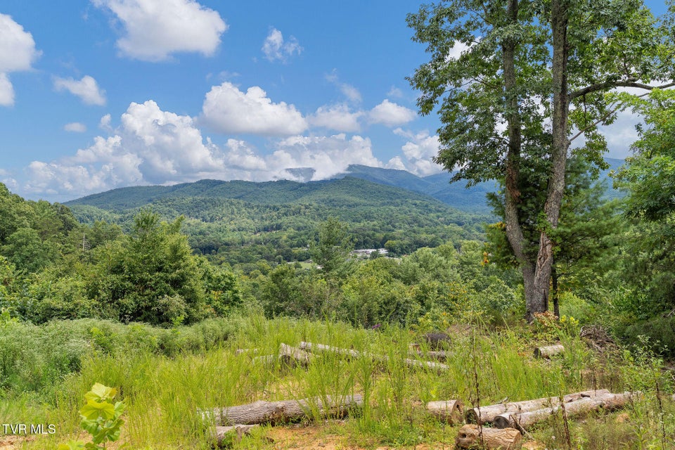 Photo #21: Tbd Ash Hopper Hollow