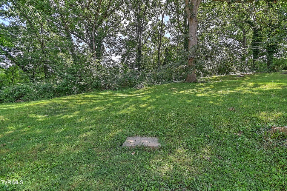 Photo #29: 1433 Miller Street